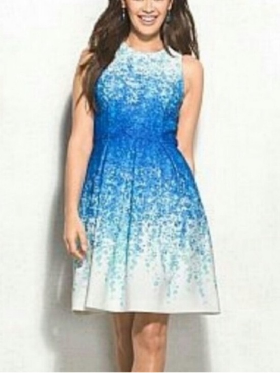 Carmen Marc Valvo Dresses & Skirts - Carmen Marc Valvo Luxe Sleeveless Floral Fit & Flare Dress White Blue Size 12